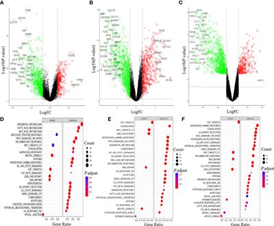 Exploring the molecular mechanism of hepatitis virus inducing hepatocellular carcinoma by microarray data and immune infiltrates analysis